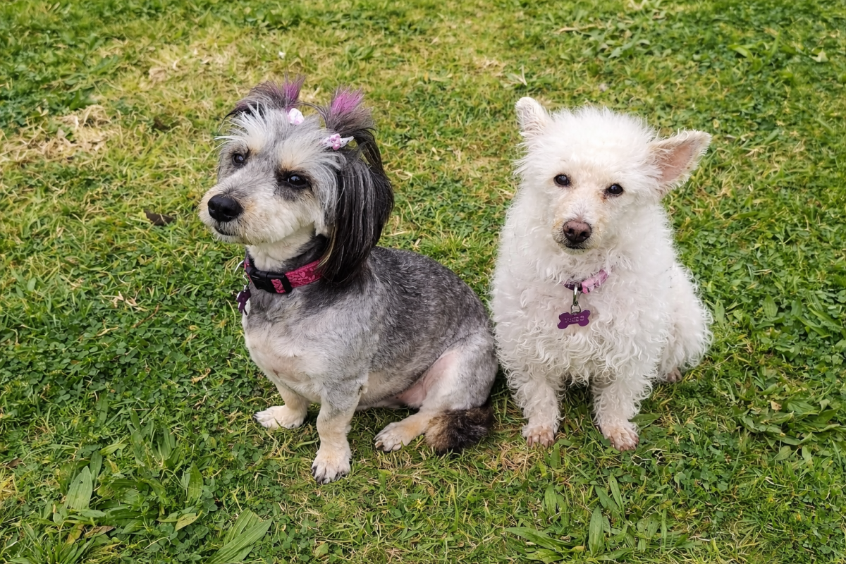 🌳Στο πάρκο… ξανά
